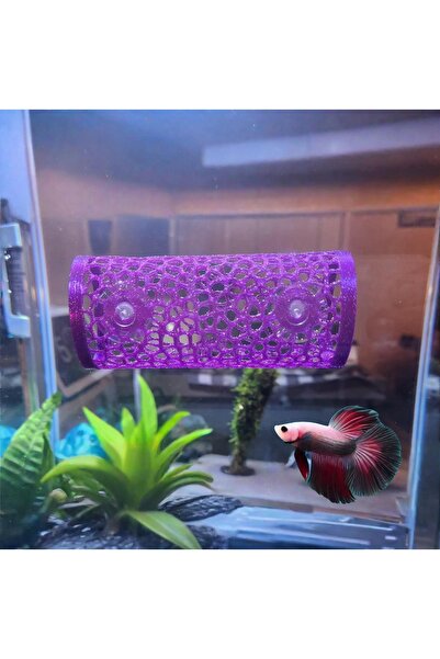 MDİZMİR Beta Dinlenme Alanı ( Mor ) Balık Yuvası Beta Halfmoon Üretim Tüpü