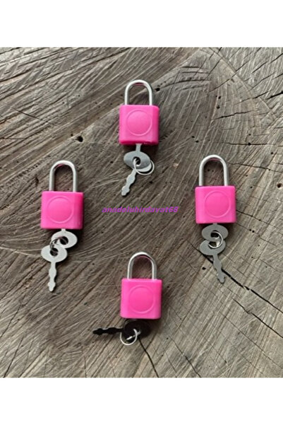 Ozs Dmr Kare Mini Asma Kilit Kumbara Kilidi Mini Kutu Kilidi 4 Adet Pls