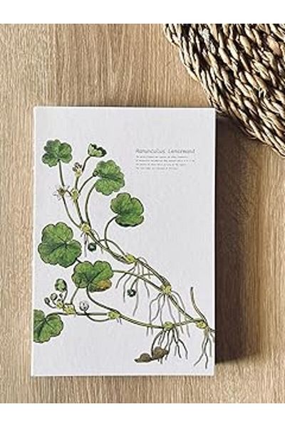 Hepta Collection دفتر ملاحظات غير مُبطن بتصميم خاص من Difference ترويجي مقاس A5 مع غطاء - يمكن فتحه بزاوية 180 درجة، ومخيط على الظهر، ويدوي 100%