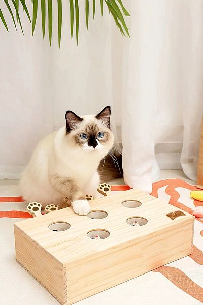 Bundera Interactive Cat Hunting Wooden Learning Game with 5 Holes