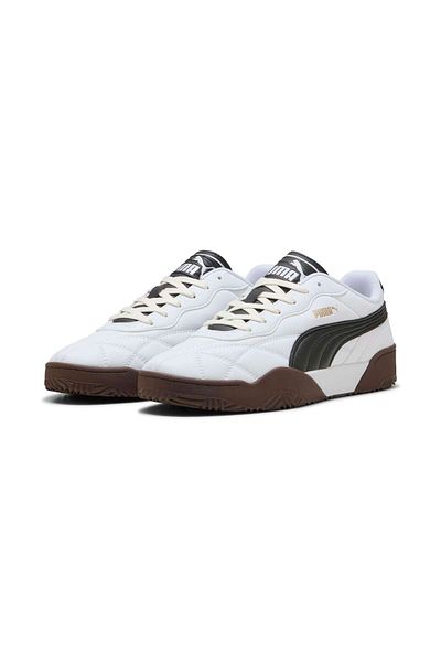 Puma Τυφοειδής