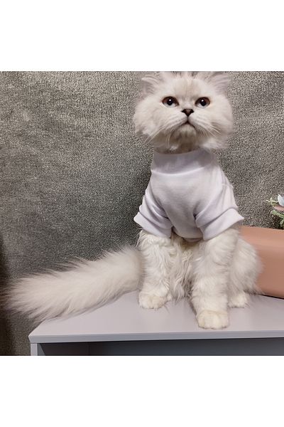 Lady Fify Plain White Tshirt for Cat Dog