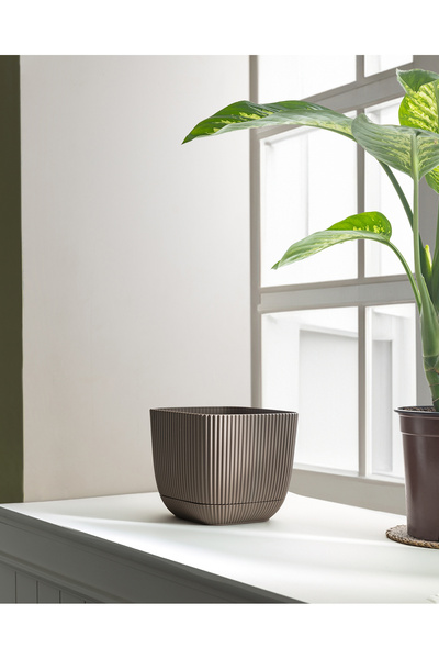 Madame Coco Abella Saksı 4000 ml