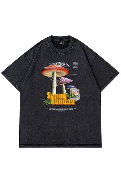 Trendiz Unisex Sunny Sunday Washed Grey Tshirt
