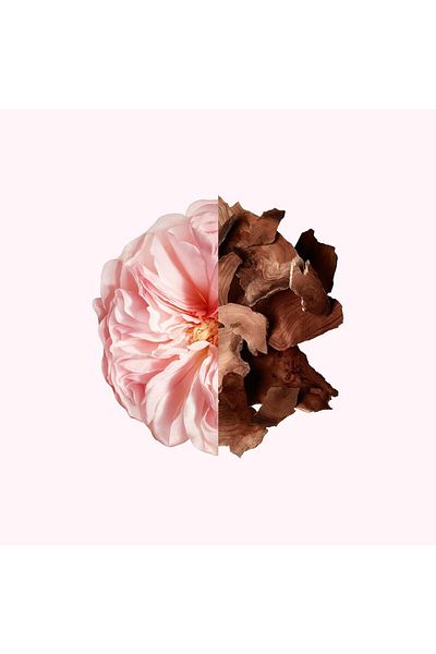 Givenchy Non-waterproof perfume 80 ml