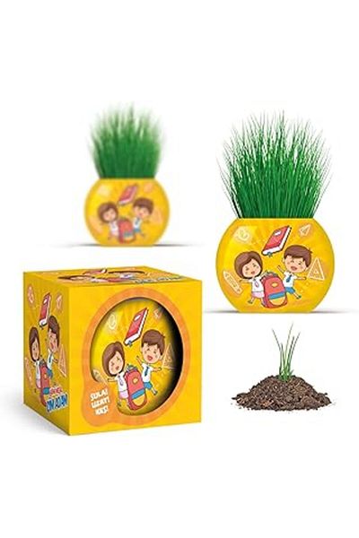 EDALKILIÇ Yuup School Themed Grass Man Set of 6 – Educational and Fun Plant Growing Kit for Kids