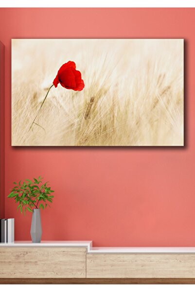 Hediyeler Kapında Kırmızı Gelincik Kanvas Duvar Tablo 70x100