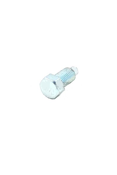 EXPERT Caliper Piston Fixing Bolt Renault Master Ii / Citroen C5 (Besgen Bolt) (10 Pieces)