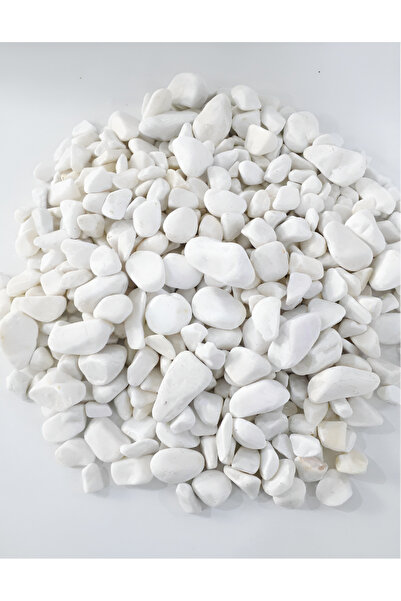 BAHÇE UZMANI Dekorasyon Bambu Taşı Beyaz Dolomit Taş 5 Kg 2-4 Cm Bahçe Süs Ta...