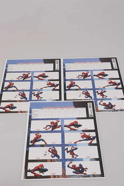 SPIDERMAN 24' Licensed Spiderman School Tag - with Lesson Schedule