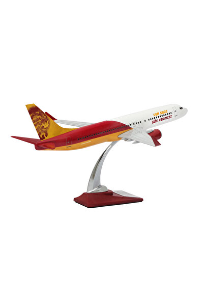 zekupp Boeing 737-800 1/100 Ölçek Lion King Tasarımlı Maket Uçak  (UCK0209)