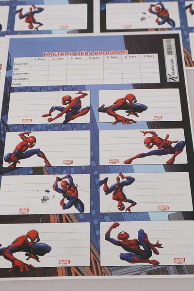 SPIDERMAN 24' Licensed Spiderman School Tag - with Lesson Schedule