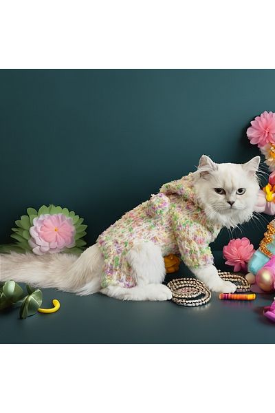 Lady Fify Colorful World Hooded Wool Jumpsuit for Cat Dog