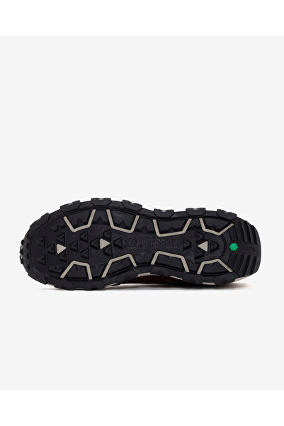 Timberland Sneakers Winsor Park Pt Ox TB0A5YD5F131 Brown