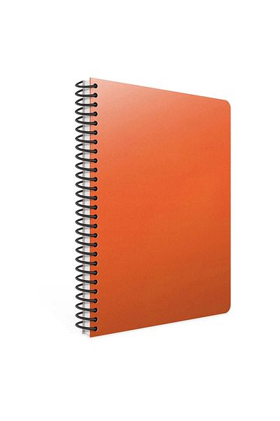 Gıpta Agenda zilnică în spirală Eco 20x28 de 219 secunde