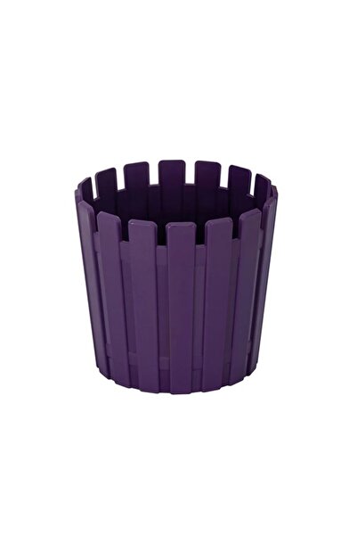 PetGrow Plastik Akasya Kaktüs Saksı-8,5