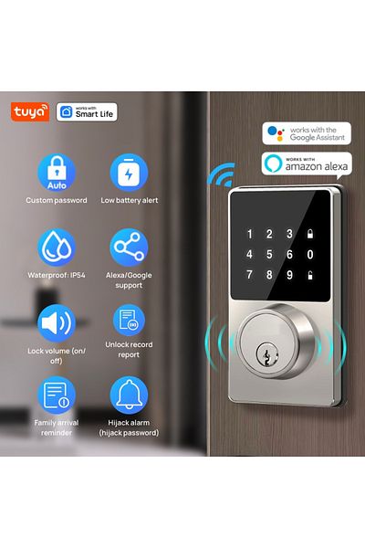 Choice Brushed Nickel Tuya Smart Home Wifi Lock Keyless Entry Door Lock With Touchscreen Keypad App Control