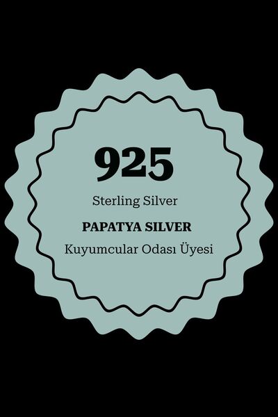 Papatya Silver 925 Ayar Gümüş Rose Kaplama Ay Taşlı Kalp Figürlü Kıkırdak Küpe