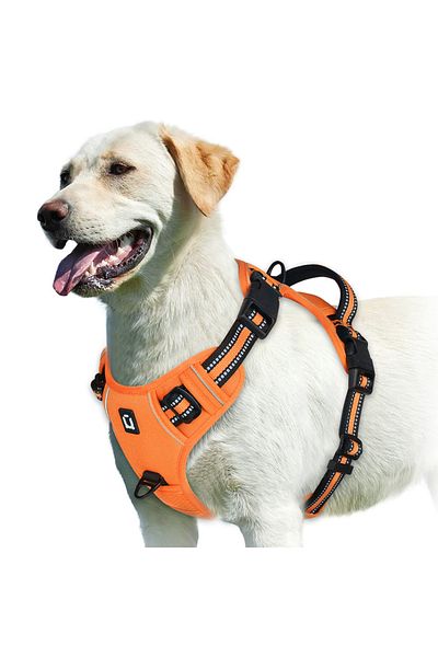 Choice M Orange No Pull Dog Harness, Adjustable Soft Padded Pet Vest With Easy Control Handle