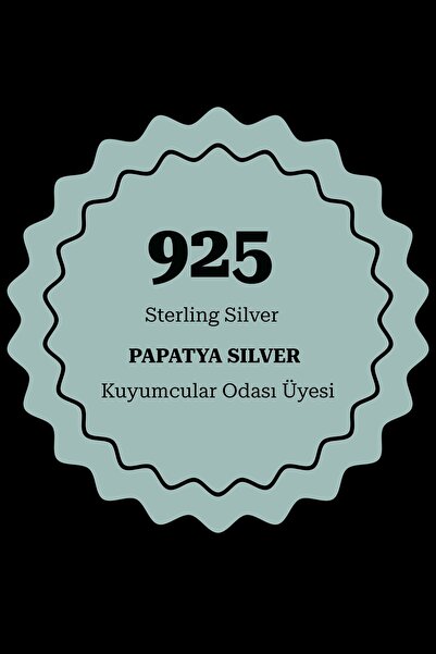 Papatya Silver 925 Ayar Altın Kaplama Zirkon Taşlı Gümüş Güneş Kolye