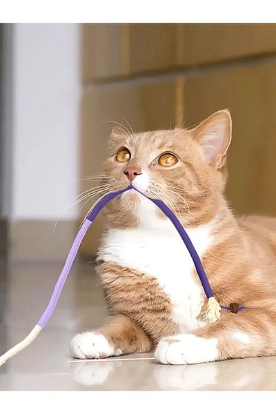 Choice 27.55 Inch Purple 1pc Cat Bite Rope Toy Grinding Teeth Durable Teasing Cat Rope Toy