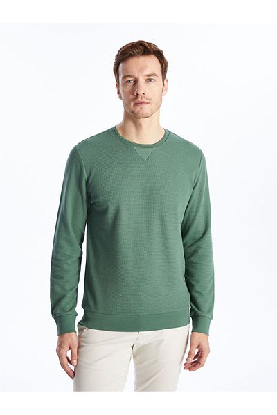 LC Waikiki Crew Neck Long Sleeve Men's Sweatshirt