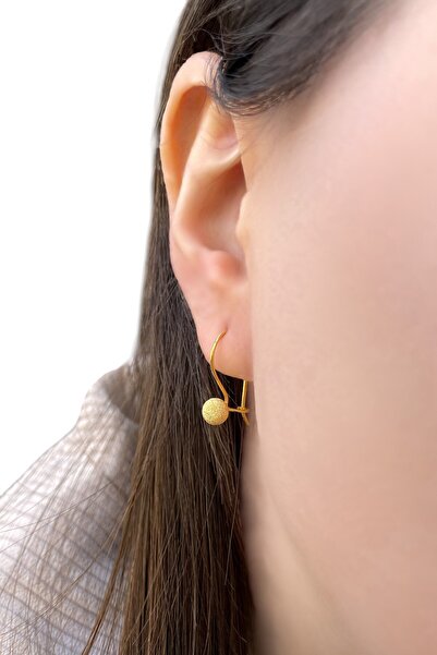 Altınaşkı Simli Kanca Altın Küpe