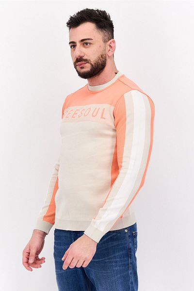 freesoul Men Crew Neck Long Sleeve Brand Logo Sweatshirt, Coral