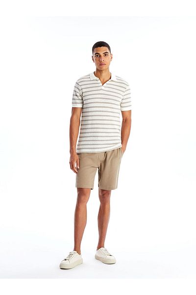 LC Waikiki Νέα σεζόν Polo γιακά με κοντό μανίκι ριγέ ανδρικό μπλουζάκι με υφή - S4OG15Z8