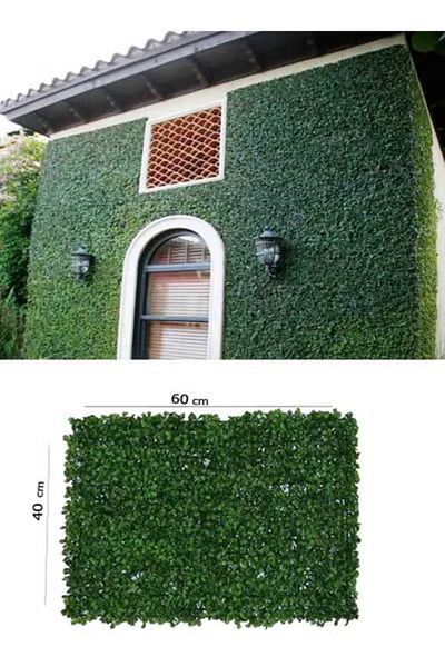 co arma 60*40cm Artificial Grass Wall Set of 5 Pieces for Garden, Home and Pool Decoration