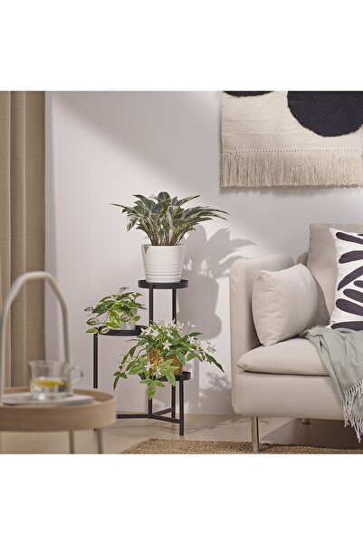 IKEA FEJKA

yapay bitki, yeşil, 15 cm, dua çiçeği