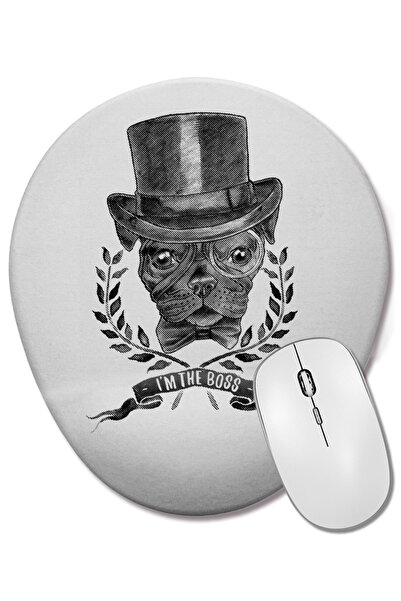 BASKI DÜNYASI Ο Ιντιάνα Τζόουνς ιδιαίτερα αγαπά τα κόμικς του Ιντιάνα Τζόουνς