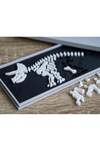 3D Brothers Dinosaur Bone Sculpture  Triceratops Preserved in Enchanting Sand...
