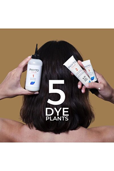 Phyto New Series Color 6 - Dark Auburn Herbal Hair Dye