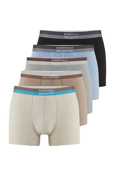 Trendyol Collection Πακέτο 5 Cotton Boxer Blooming ανοιχτό σε ποικιλία με βασικό σλόγκαν TMNSS25BX00002
