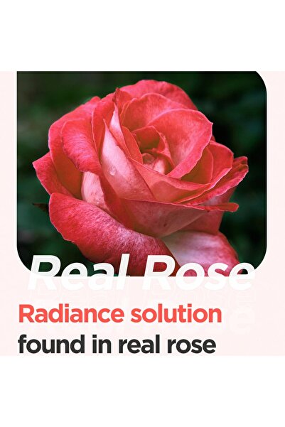 Isntree Rose Calming Face Mask 3.38 oz | 60% Damask Rose Water, Hyaluronic Acid