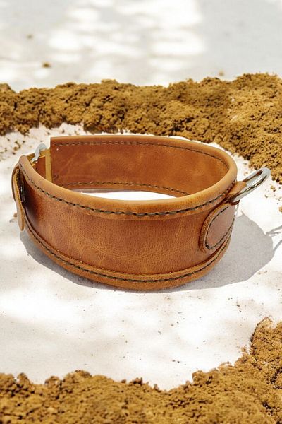 Leather Alpha Light Tan Genuine Leather Medium Breed Dog Collar