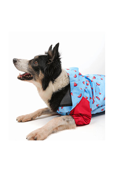 JesPawty Mavi Desenli Köpek Yağmurluğu