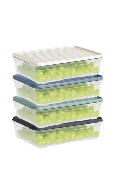 Flora 4'lü Buzdolabı Düzenleyici Set, Buzluk Difriz Derin Dondurucu Buzdolabı Saklama Kabı 4x1100ml