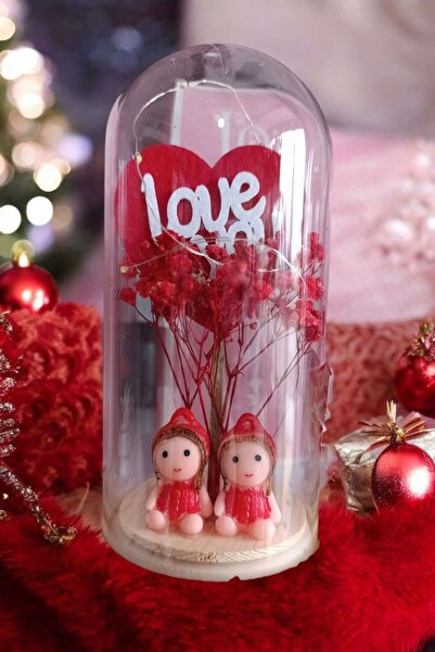 ÇEÇEN HOME هدية لمحبي تررم من فانوس مع شكل عاشق وزهور جافة مضاءة