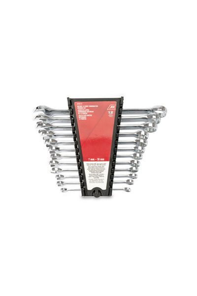 ACE 12-Piece High Quality Sturdy Handle Rust Resistant Combination Wrench Set