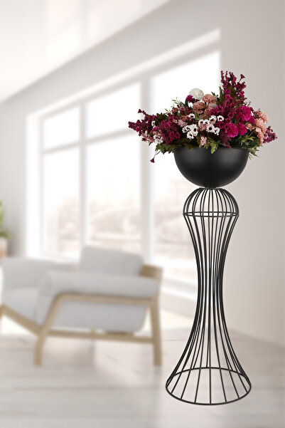 Begüsa Sago Saksılık Siyah