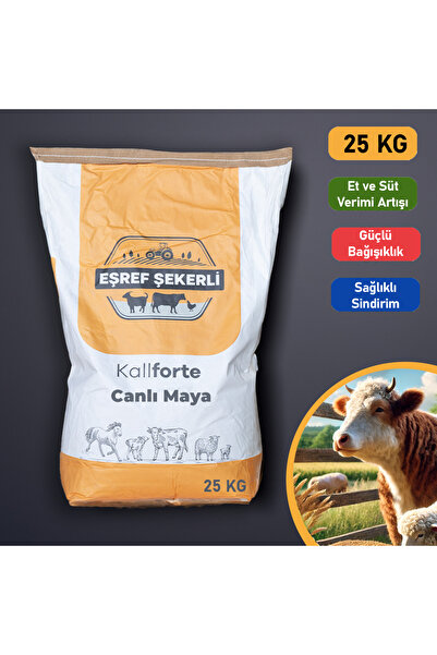 EŞREF ŞEKERLİ Kolay Ve Sorunsuz Sindirim Için Canlı Maya 25 Kg