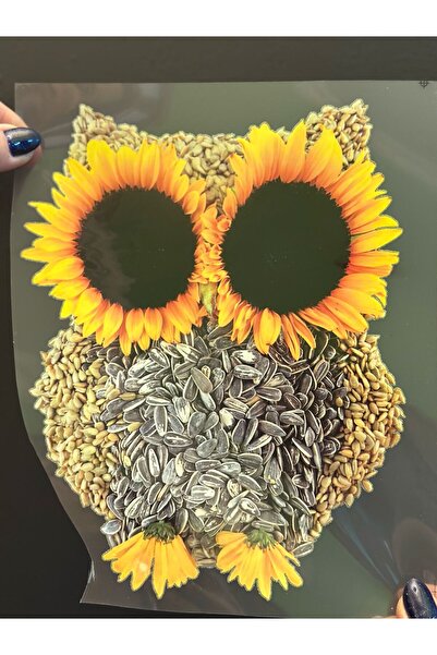 Gönülden Tasarım Σχέδιο που συγκολλείται με σίδερο, Εκτύπωση μεταφοράς ηλίανθ...