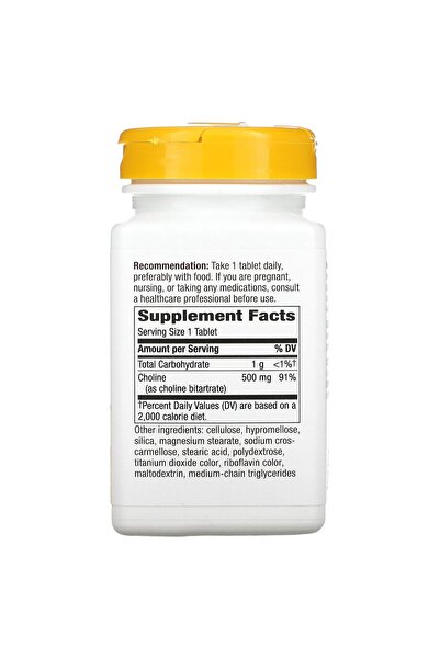 Nature's Way NATURES WAY 500Mg 100 Tb Choline, 100 CT