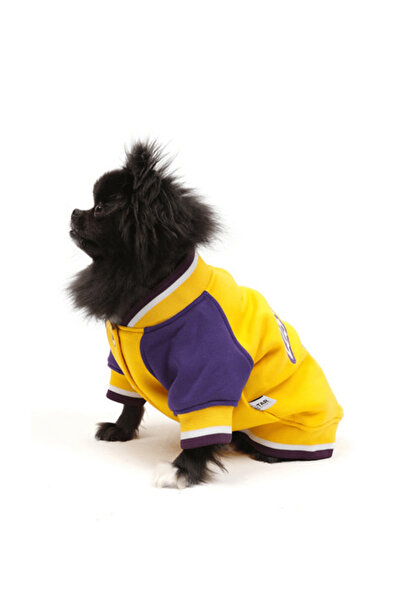 JesPawty Sarı Kolej Ceket Köpek Kıyafeti
