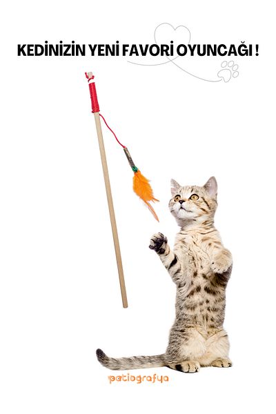 patiografya Matatabi Feather Fishing Rod with Rod