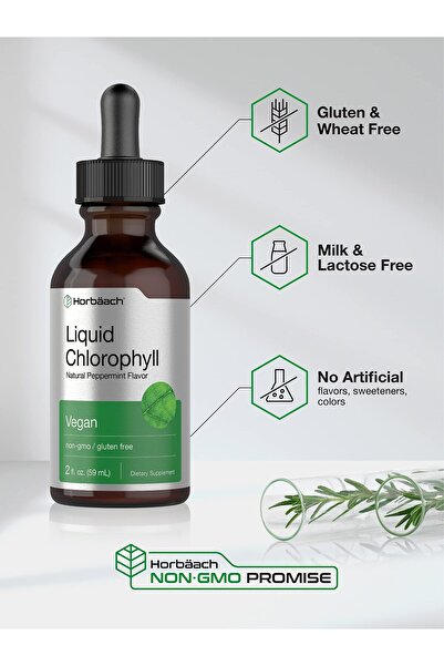Horbaach Liquid Chlorophyll Drops | 2 oz | Vegan, Non-GMO, Gluten Free | Peppermint Flavor