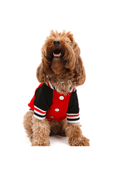 JesPawty Kırmızı Kolej Ceket Köpek Kıyafeti