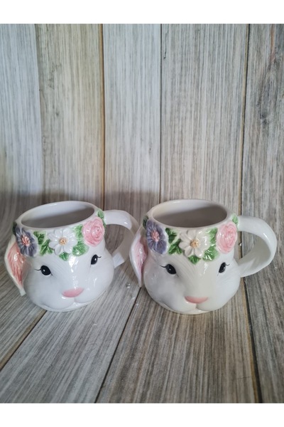 Spring&Kos كوب أرنب